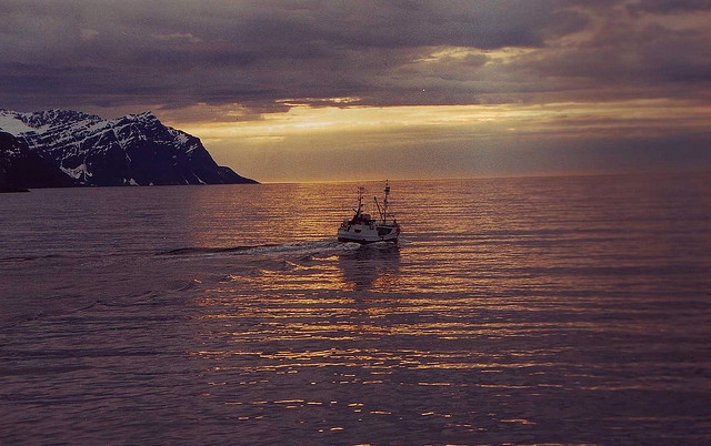 Viagens de pesca 